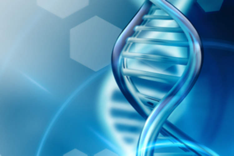 Gene Therapy to Cure HIV: Where to From Here? Img