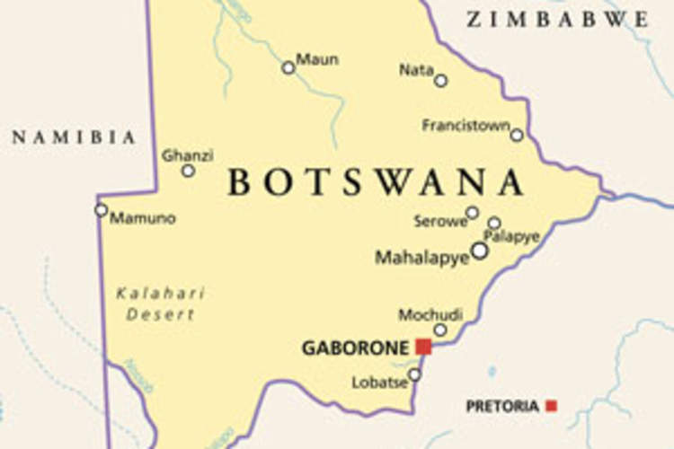 Efavirenz, Tenofovir and Emtricitabine Associated With Fewest Adverse Birth Outcomes in Botswana Img