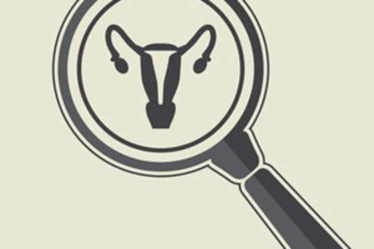 Harnessing Vaginal Microbiota to Protect Women From HIV: What We Know and Don't Know Img