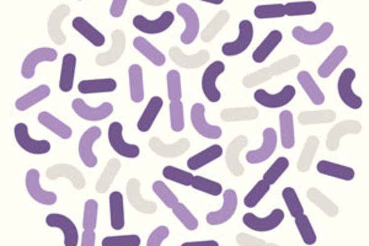 Penis Bacteria Linked to HIV Acquisition Img