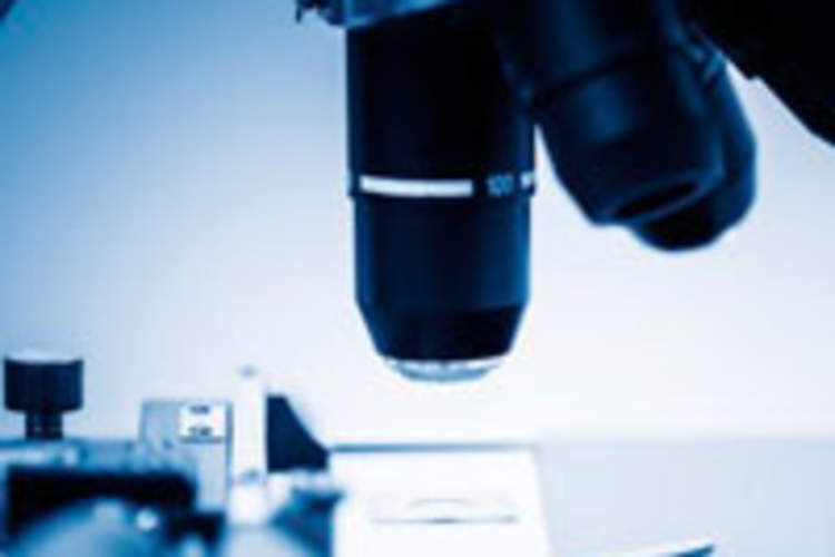 Flagging the HIV Reservoir: A Potential New Marker for CD4 Cells Hiding HIV Img