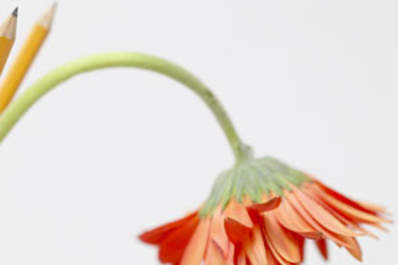 Some Issues Related to Sexual Dysfunction in Men Img