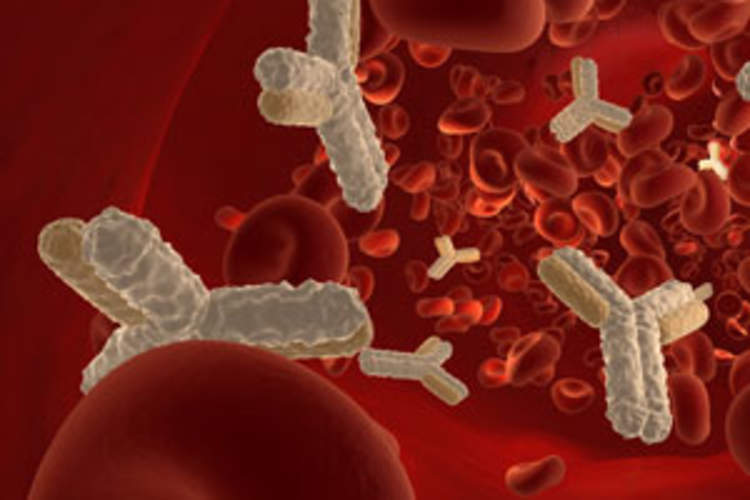 Ibalizumab Is Effective at Reducing HIV Viral Load in People With Few Treatment Options Img
