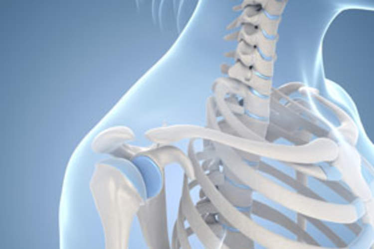 Heart Disease, Recent Cancer, Hepatitis C Raise Fracture Risk in People With HIV Img