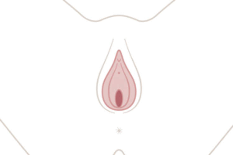 The Vaginal Microbiome Matters: A Wake-Up Call for PrEP Research Img