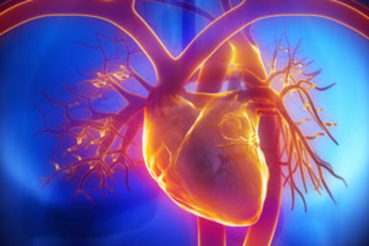 Proactive Steps Needed to Address High Burden of Cardiovascular Disease in People Living With HIV Img