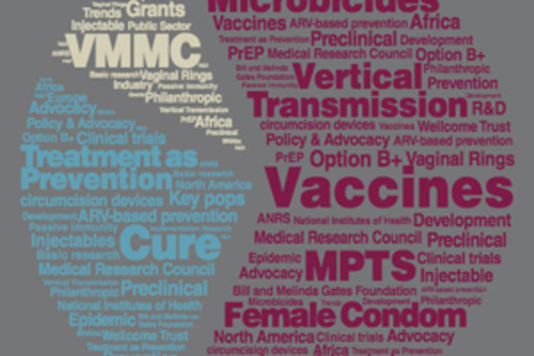 Declining Funding and Shrinking Donor Base Imperils Continued Success of HIV Prevention Img