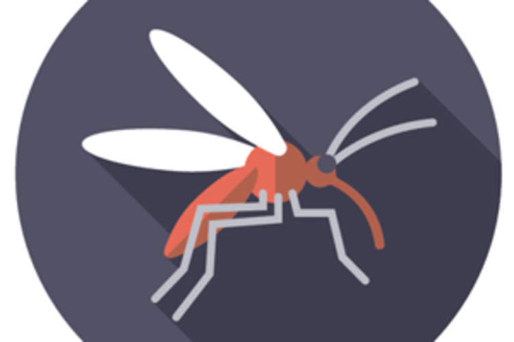 Exploring the Possible Dangers of HIV and Zika Coinfection Among Pregnant Women and Newborn Children Img