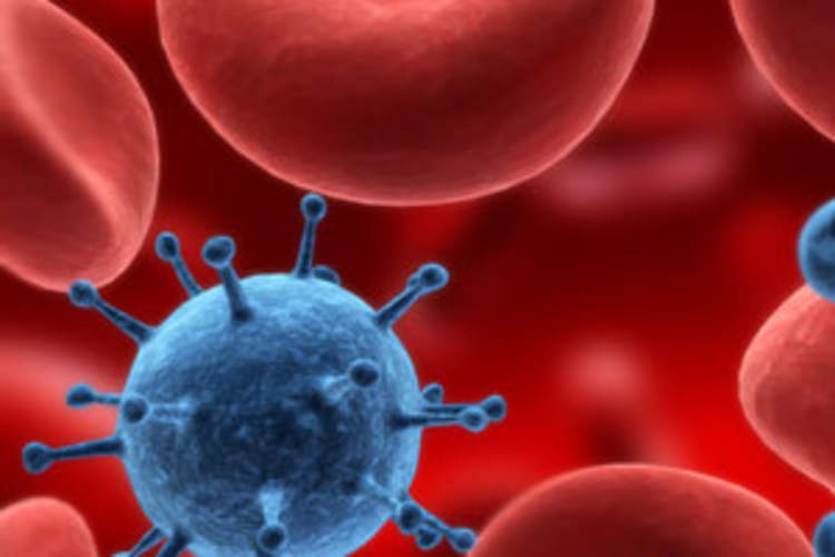 HIV Remission: The Quest to Turn Lessons From Exceptional Cases Into Solutions Img