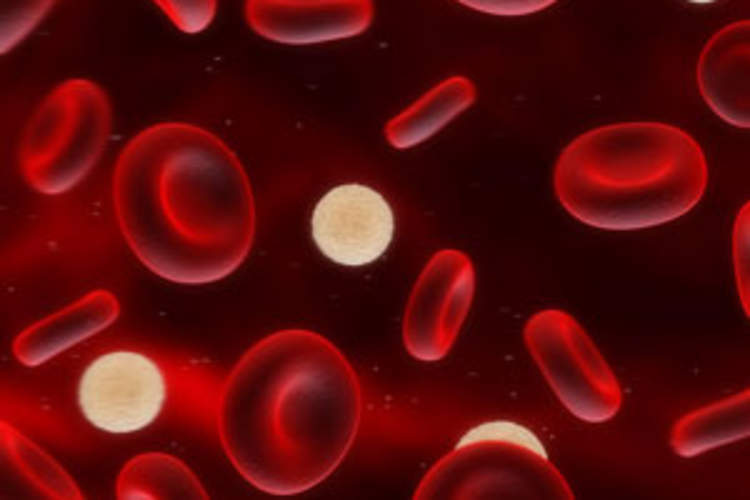 Enhancing Immunity: Manipulating the Immune System to Tackle HIV Img