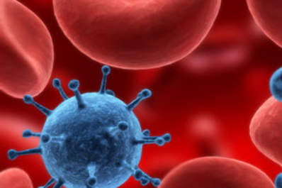 Why Are Only Some Viruses Transmissible by Blood and How Are They Actually Spread? Img