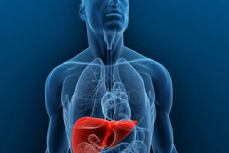 HIV/HCV Coinfection: New Data Has Implications for Treatment-as-Prevention Efforts Img