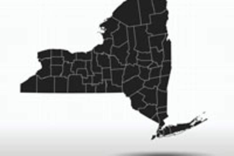 Ending the Epidemic in Women and Girls in New York Img