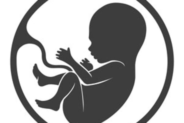 Anti-HIV Drug Combination Does Not Increase Preterm Birth Risk, Study Suggests Img