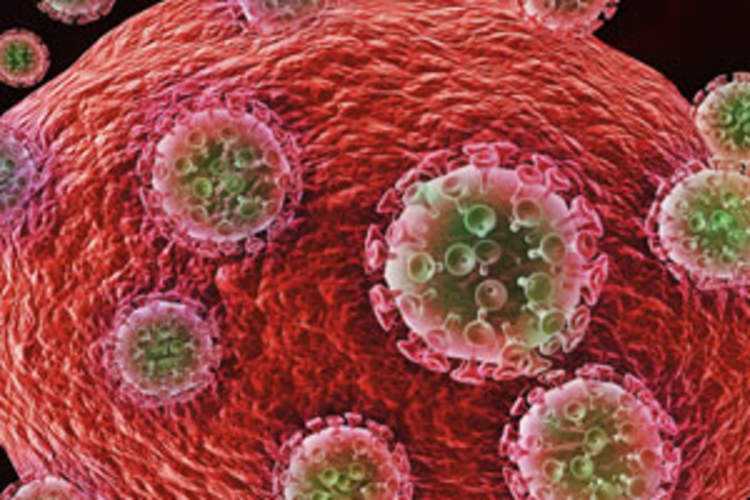 HIV Treatment, the Viral Reservoir, and HIV DNA Img