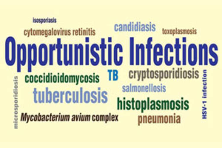 What Is an Opportunistic Infection? Img