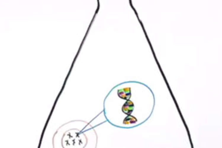 Approaches to an HIV Cure Img
