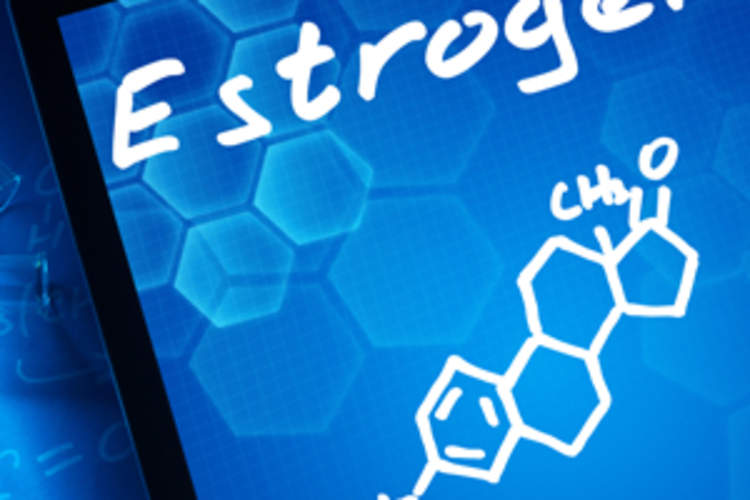 Sex and the HIV Reservoir: New Research Points to the Powerful Effect of Estrogen Img