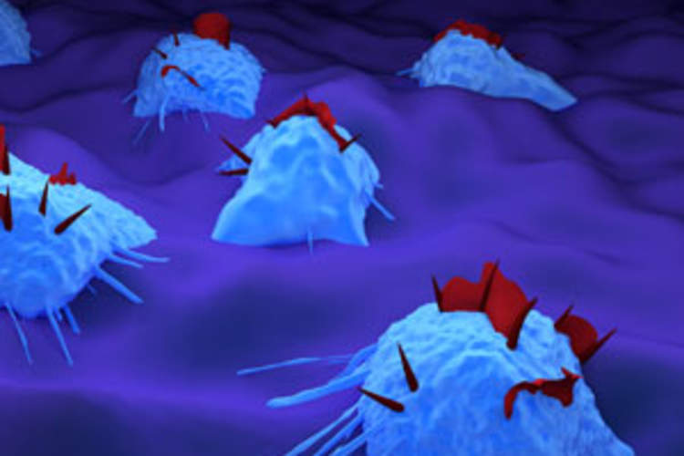 Studying HIV Persistence in Liver Macrophages Img