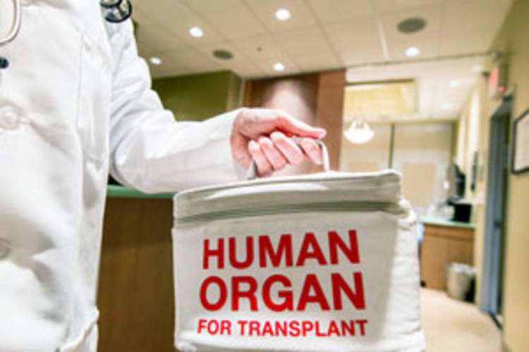 Liver Transplant From HIV-Positive Living Donor to Negative Recipient: Key Ethical Issues Img