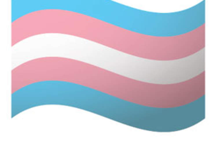 56 Major Companies Respond to Alarming Effort to Erase Transgender People from Legal Protections Img