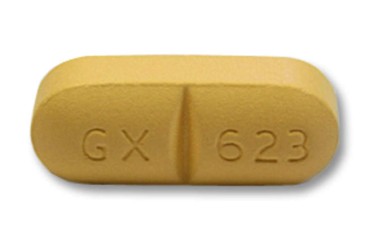 Abacavir, Platelets, and a Cardiovascular Verdict: A Top HIV Clinical Development of 2018 Img