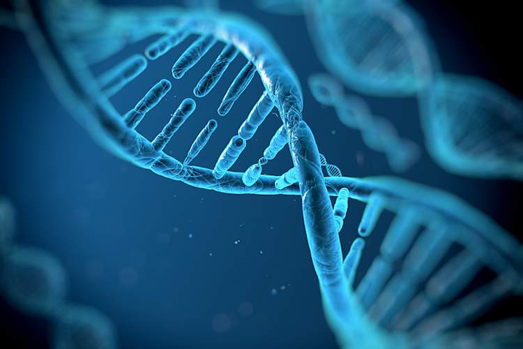 New Study Triggers Concerns Over Use of Molecular HIV Surveillance Img