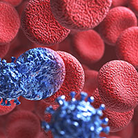 Basic Questions and Answers About HIV/AIDS