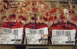blood bags