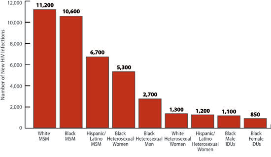 Figure 1: Estimated New HIV Infections in the United States, 2010, for the Most Affected Subpopulations