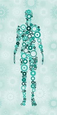 Inflammation, Immune Activation and HIV
