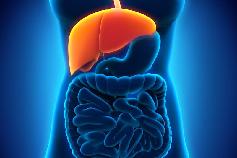 Caring for Your Liver if You Have HIV/AIDS