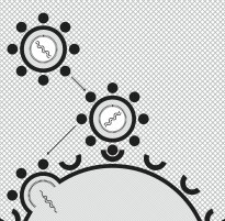 Step 1: Entry -- HIV Enters a Cell
