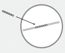 Step 3: Integration -- HIV Becomes Part of the Infected Cell