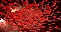 Testosterone Replacement Therapy and Polycythemia in HIV-Infected Patients