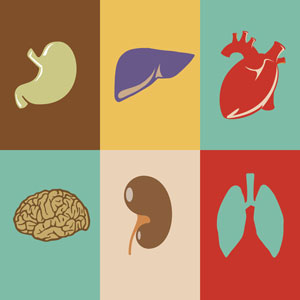 Other Health Issues