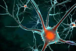 Potential Cause of HIV-Associated Dementia Revealed