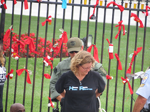 An activist is arrested for civil disobedience.