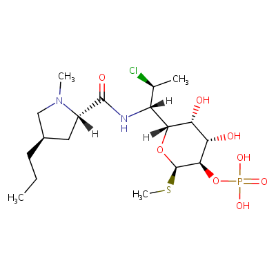 clindamycin phosphate