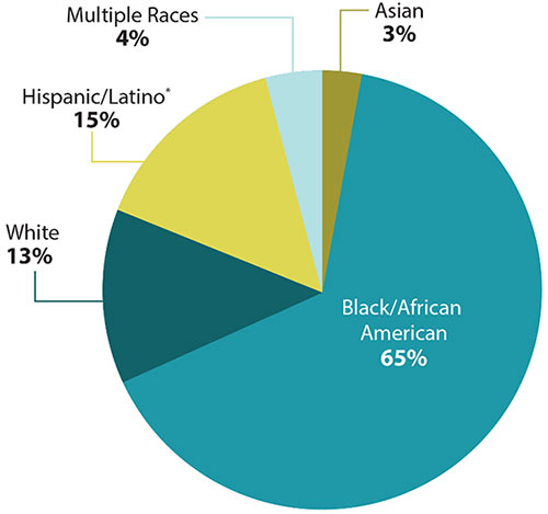 Diagnoses of Perinatal HIV Infections in the US by Race/Ethnicity, 2016