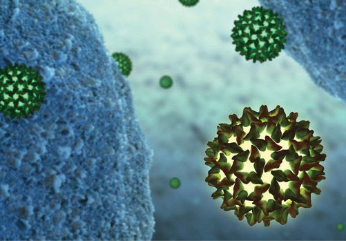 Computer-generated image of hepatitis B virus. Photo: iStockPhoto.com.