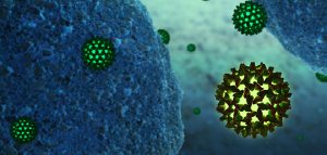 hepatitis c viruses