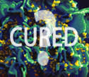 Cured