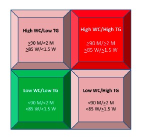 A Four-Box Tool to Predict CVD Risk