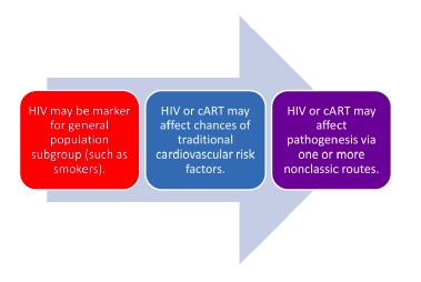 How HIV May Affect Cardiovascular Risk