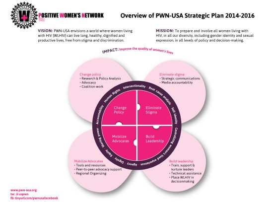 Overview of PWN-USA Strategic Plan 2014-2016