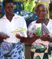 Fighting for Women: HIV Prevention in Sub-Saharan Africa