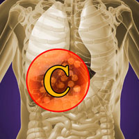 I Have Hepatitis C. What Are My Treatment Options?