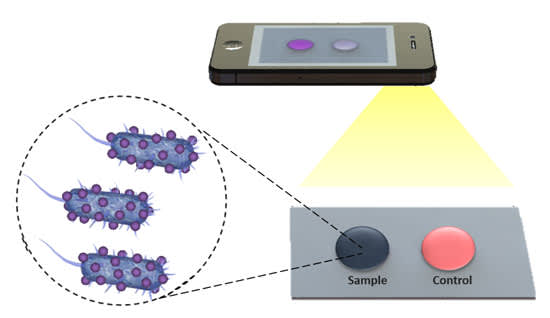 Researchers have employed three different paper and flexible material-based platforms incorporated with electrical and optical sensing modalities. Using this same technology, they have developed a phone app that can use a drop of blood to detect bacteria