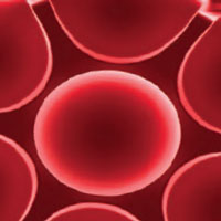 HIV Experts Discuss Inflammation and HIV